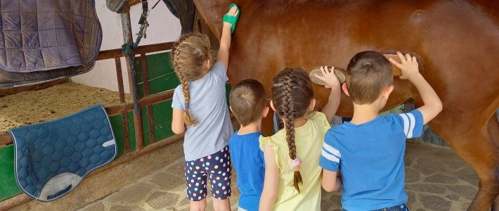 3-dnevno bivanje otrok na kmetiji Zevnik 2022